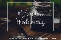 Dasara Doll Festival