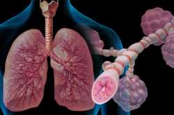 Dashamoolam Kashayam {Dashamulam Kashayam} - Useful herbal remedy for Asthma, Cough, Low Back Pain, Sciatica