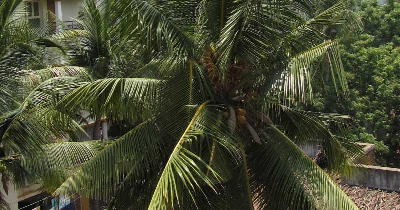 Day 13: Watch What You Say.