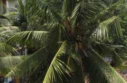 Day 13: Watch what you say.