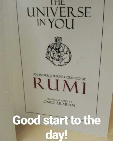 Day 15 - #100HappyDays - Bus Kya!