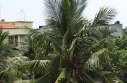 Day 15: Bloody weather