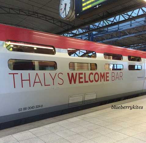 Day 2: Paris In A Day, Eiffel Tower, Notre Dame, Pont Neuf Lovelocks, Fastest Plan Ever Made