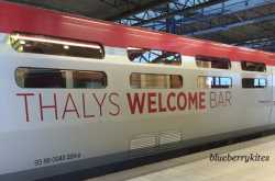 Day 2: Paris in a day, Eiffel Tower, Notre Dame, Pont Neuf lovelocks, fastest plan ever made