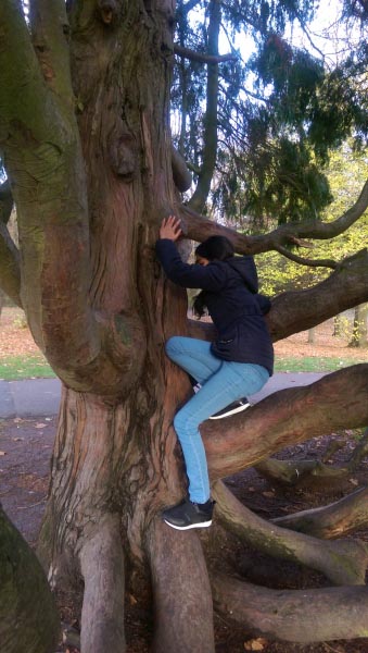 Day 22: Wordless Wednesdays