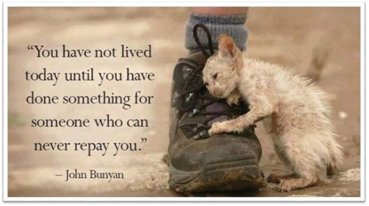 Day 30: You’ve Not Lived Today Until…