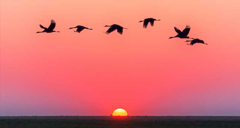 Day 365: When Dad Left For His Maker…