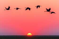 Day 365: When Dad left for his Maker…