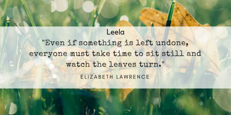 Day 53 Of The Quoting Challenge