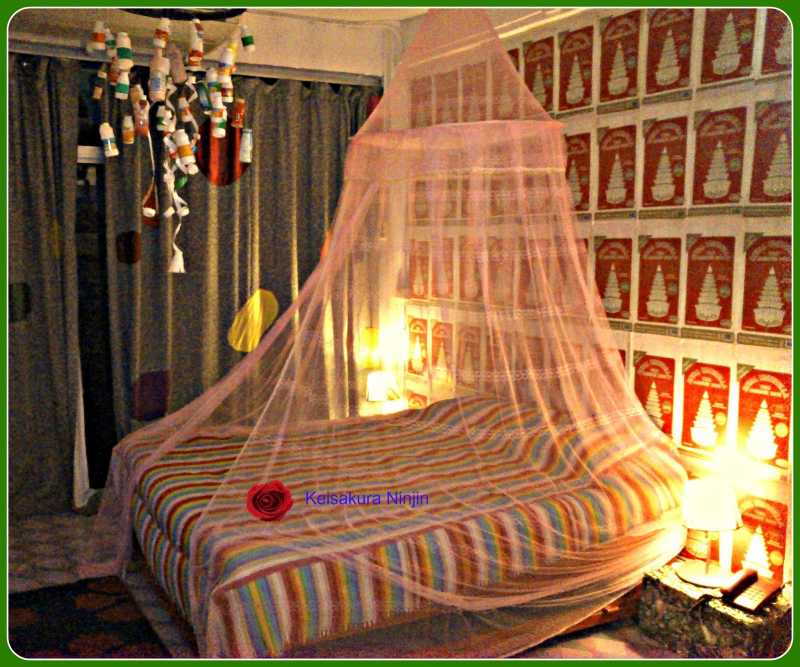 Day 7: The Chatuchak Day And A Bit Of Khao San Road