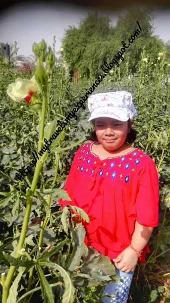 Day Out At Yasmin Farm Wafra Kuwait