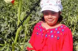 Day Out at Yasmin Farm Wafra Kuwait