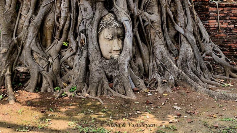 Day Trip To Ayutthaya, The Second Capital Of Thailand - Lemonicks - Indian Travel Blog