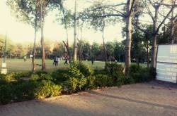 Day TwentyFour: Sport