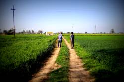 Day TwentyThree: Parallel