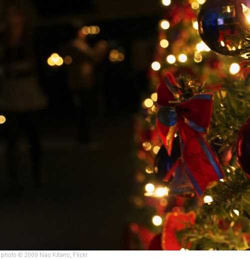 Deck The Halls... It