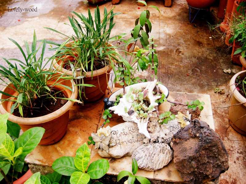 Decorating With Pots - Jazzing Up Empty Spaces!