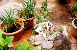 Decorating with Pots - Jazzing up empty Spaces!