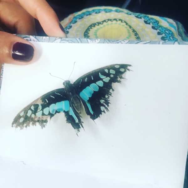 Dedicated To Arusha: #WordlessWednesday #NatashaMusing