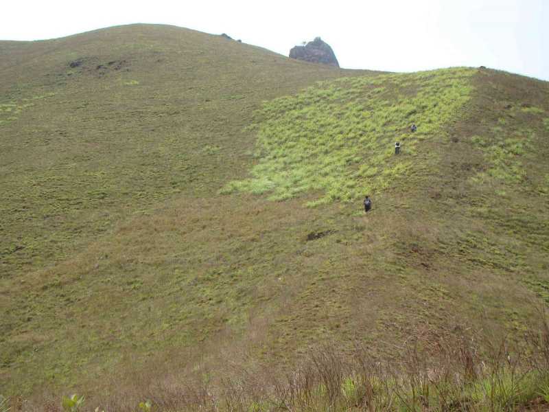 Deepadakallu And JenkalguDDa!