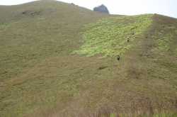 Deepadakallu and JenkalguDDa!