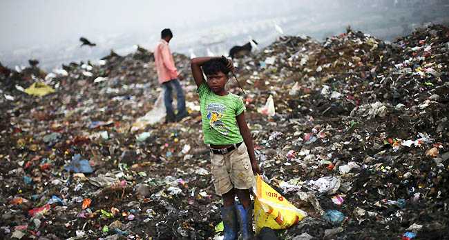 Delhi Litter Festival