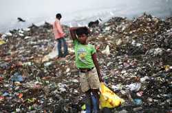 Delhi Litter Festival