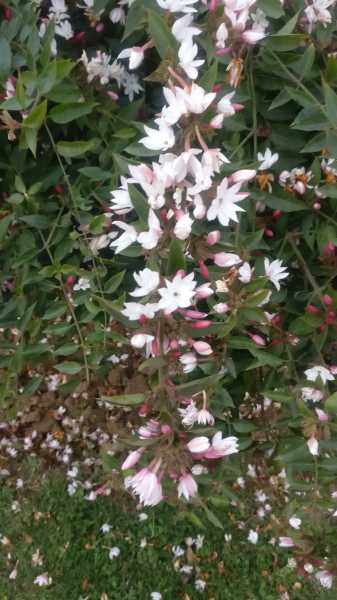 Delhi Monuments - Safdarjung’s Tomb Complex