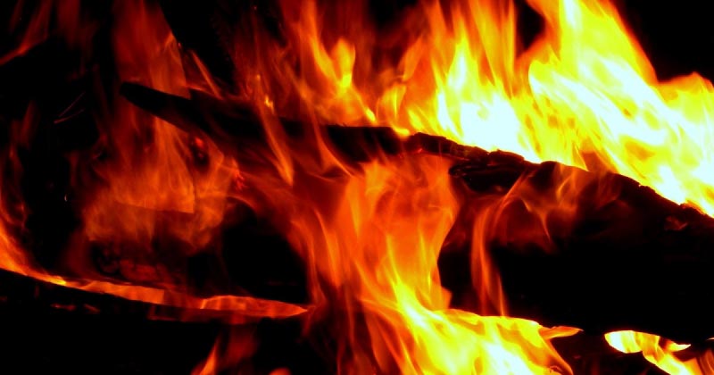 Delusion Of Love: Part I