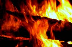 Delusion of Love: Part I