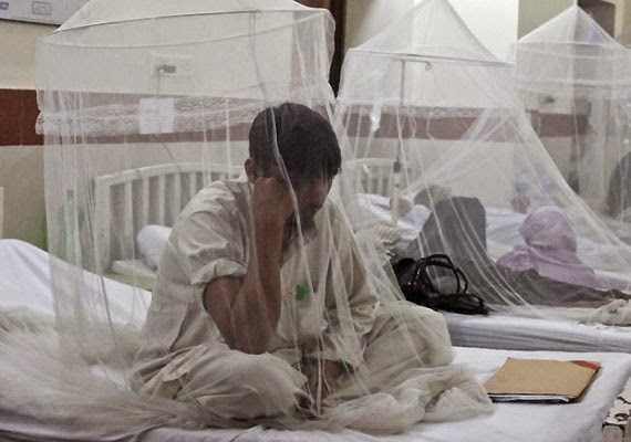 Dengue : Why Is It Called As One Of The Dangerous Diseases