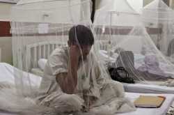 Dengue : Why is it called as one of the dangerous diseases