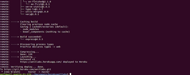 Deploy Node.js Application To Heroku - Anil Labs