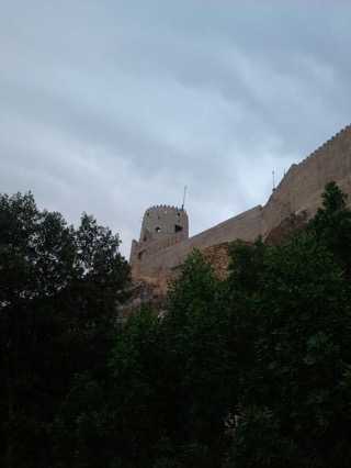 Desert, Oasis, Mountain, Valley, Beach : OMAN Has It All !