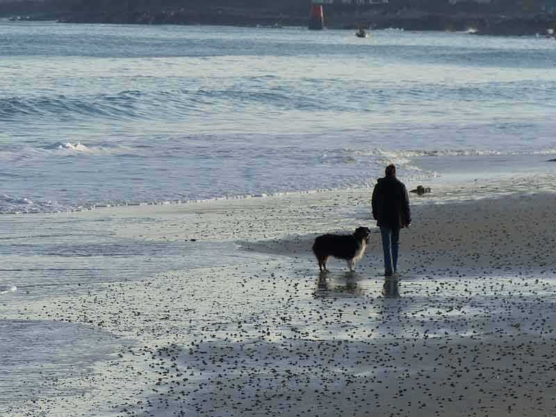 Despite Of Having A Sea By My Side, I Was Dying Of Thirst