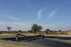 Dhamadka - a \"work from home\" place