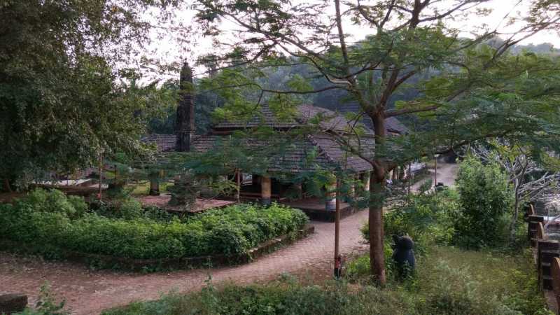 Dhamapur Lake Travel Guide - Shoe Bytes