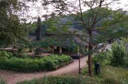 Dhamapur Lake Travel Guide - Shoe Bytes