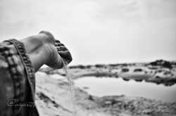 Dhanushkodi:Presence of an Absence.