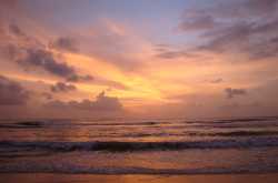 Dharmasthala - Malpe Chronicle