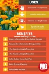 Did You Know The Uses & Benefits Of These Beautiful Flowers?