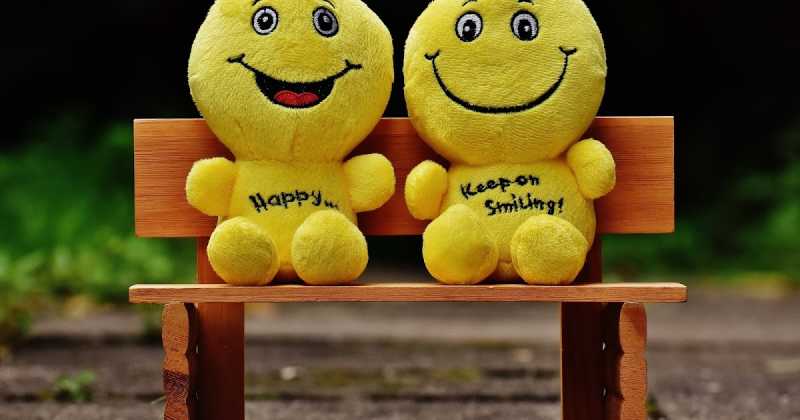 Difference Between Anand And Happiness