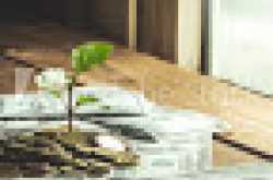 difference between fixed deposit and mutual funds in india