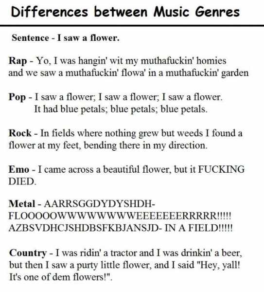 Difference Between Music Generes Funny