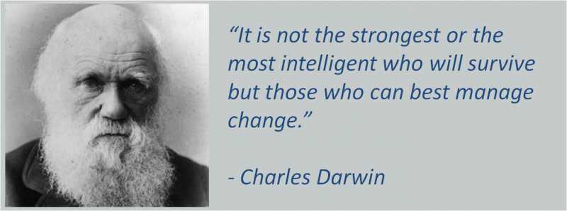 Digital Darwinism: Adapting For The Enterprise Success