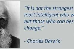 Digital Darwinism: Adapting for the Enterprise Success