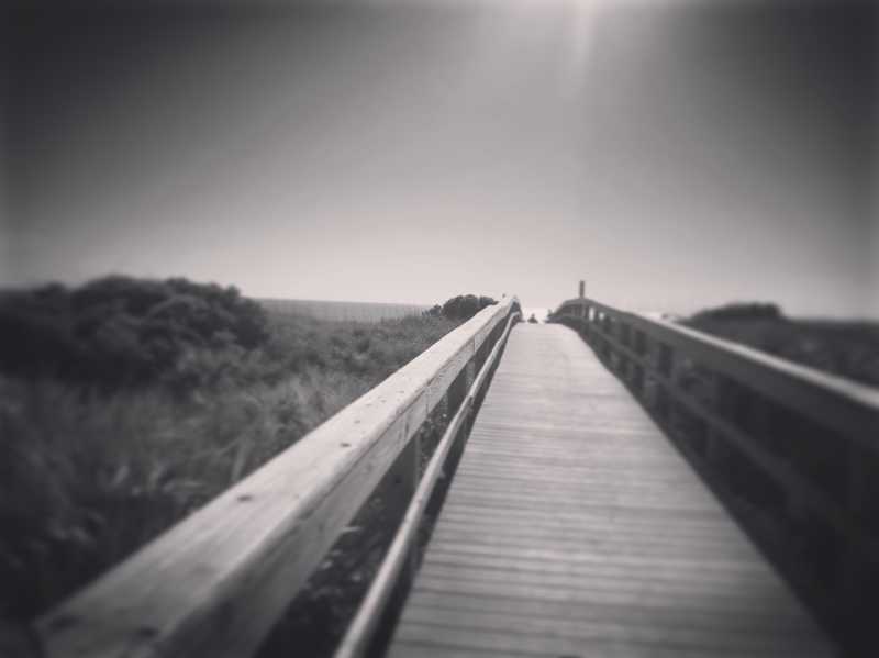 Dilemma And Decision