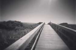 Dilemma and decision