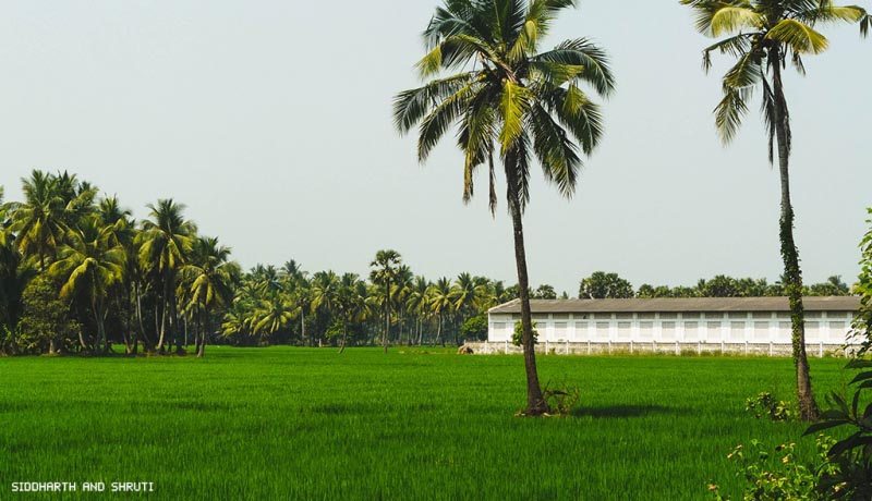 Dindi - Southeast India