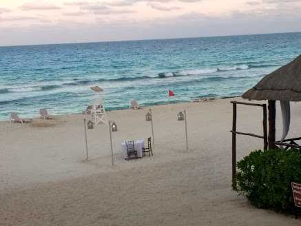 Dinner Date : Wordless Wednesday